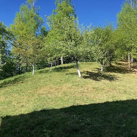 2 Apartment *